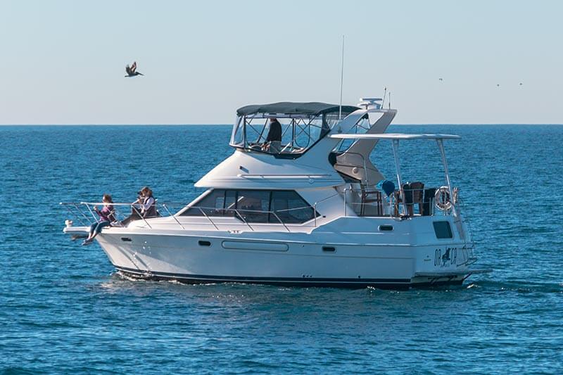 Whale watchers having fun on Motor Yacht ORCA