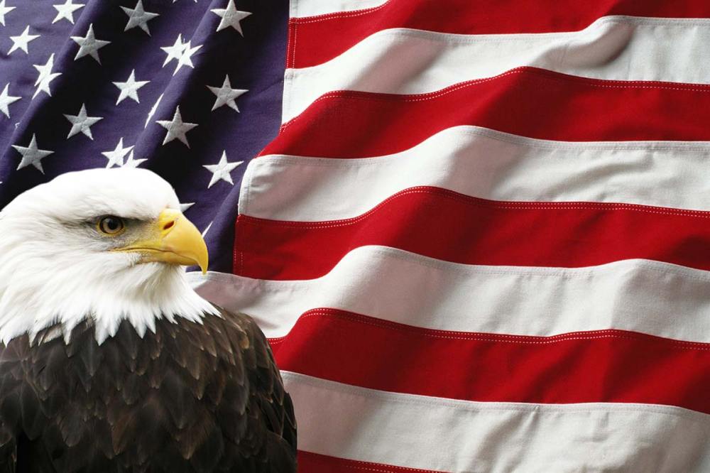 American flag with eagle