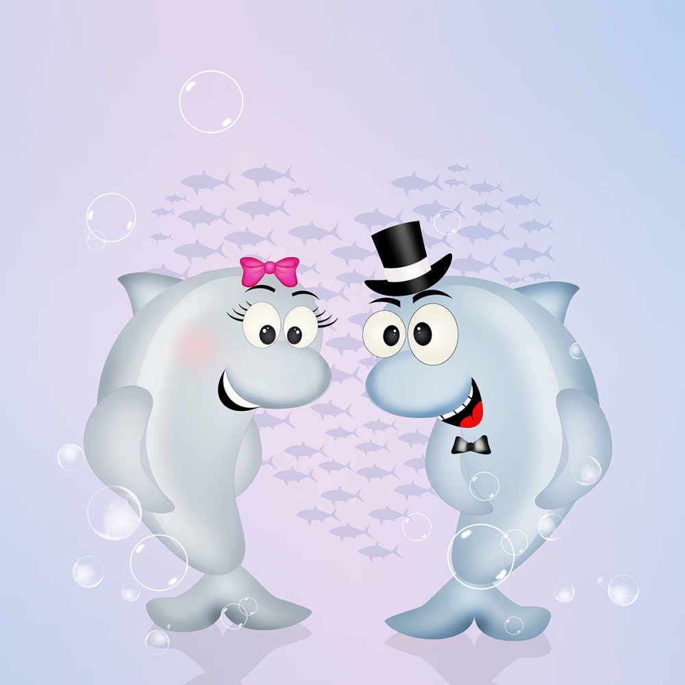 Dolphins in love cartoon