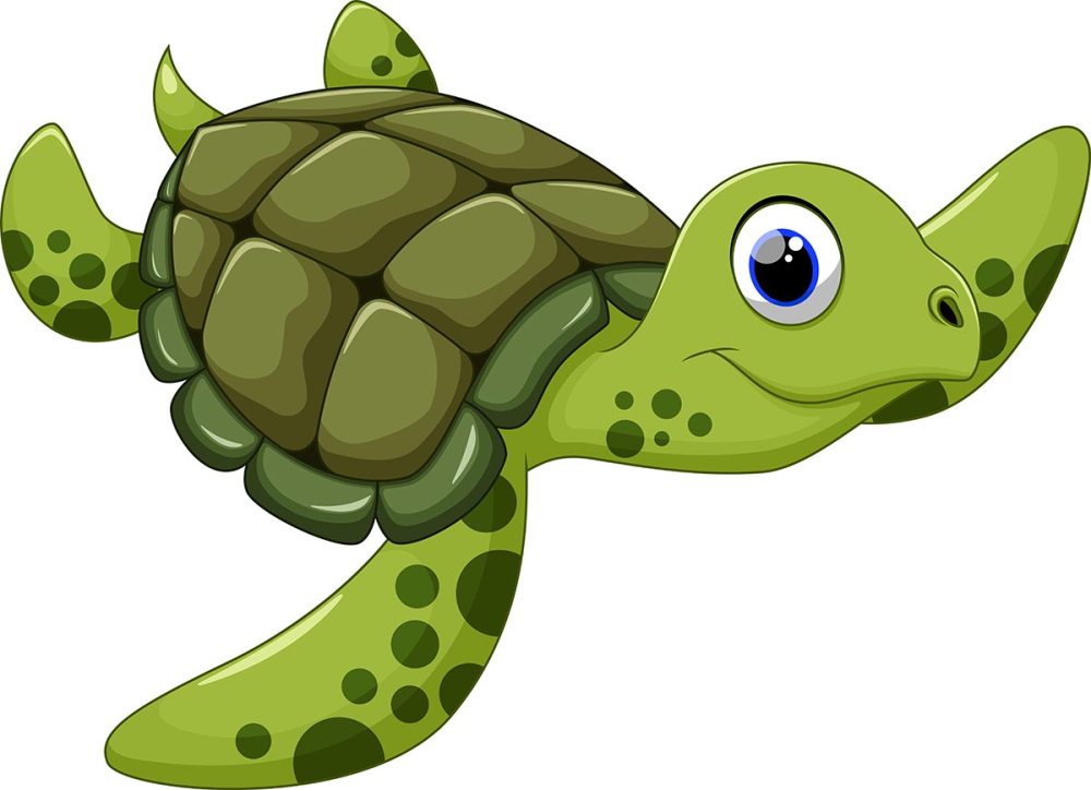 Sea turtle cartoon