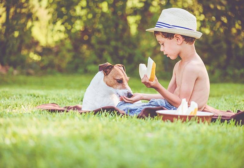 A boy and a dog sitting in the grass having a picnic