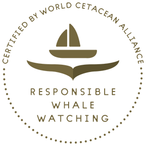 World Cetacean Alliance Responsible Whale Watching Partner logo