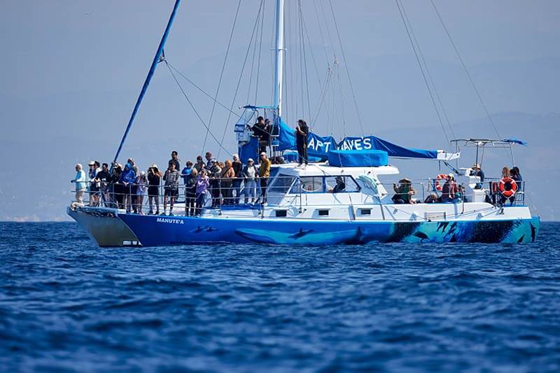 Catamaran Manute'a in Dana Point, California