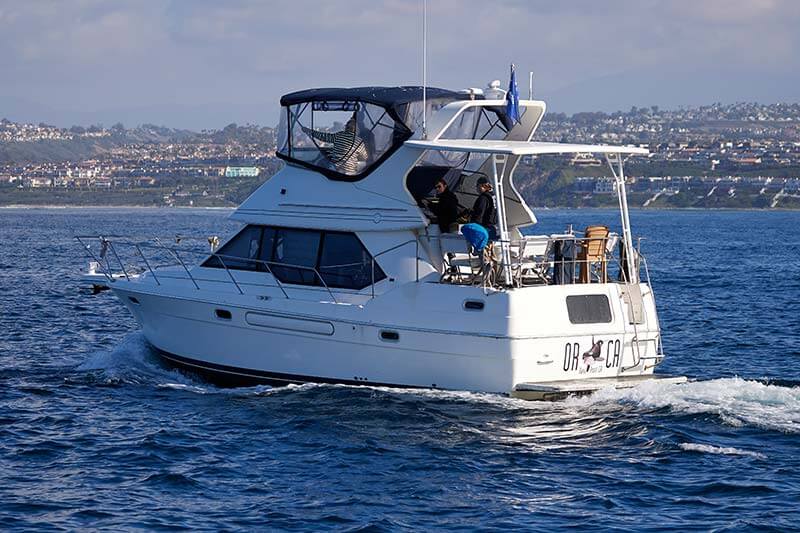 38-foot Motor Yacht ORCA available for charters in Dana Point, California