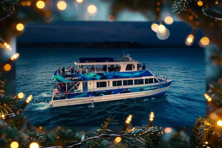 Enjoy a holiday party on a boat